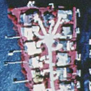Aerial Photo 1-meter Color Infrared Sample